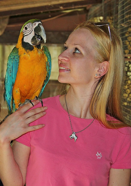 FULLY TAME PARROTS, EXOTIC ANIMALS AND EGGS FOR SALE